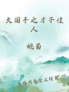 大国手之才子佳人