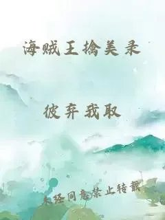 海贼王擒美录