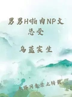 男男h啪肉np文总受