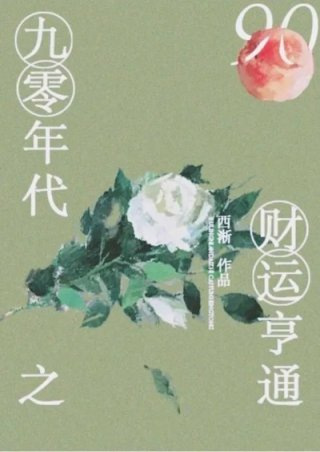 九零年代之财运亨通无错版