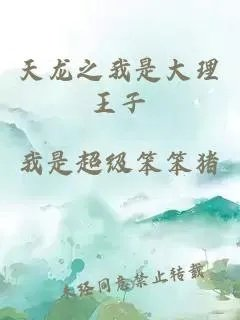 天龙之我是大理王子