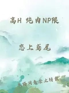 高h纯肉np限