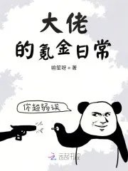 大佬的氪金日常