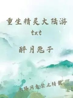 重生精灵大陆游
