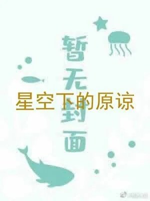 星空下的原谅