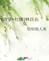 清穿红楼林氏长女有张乌鸦嘴