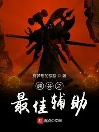 峡谷之最佳辅助157