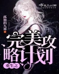 类似完美攻略
