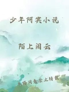少年阿宾