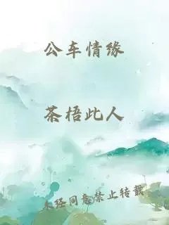 公车情缘