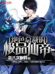 小说叶天林婉晴