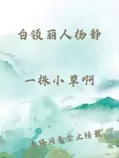 白领丽人杨静