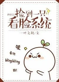 快穿之捡到一只看脸系统作者叶叶之秋