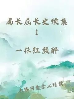 局长成长史续集1