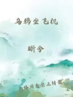 乌鸦坐飞机