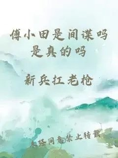 傅小田是间谍吗是真的吗