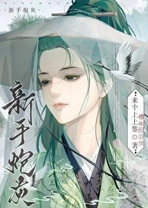 新手炮灰在线抢走女主