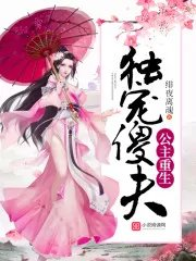 傻王诱妻公主娘子要抱抱