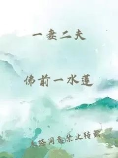 一妻二夫