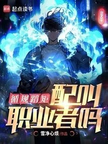 循规蹈矩配叫职业者吗