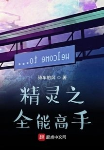 精灵之全能高手
