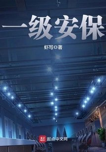一级安保