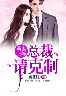 萌妻上阵总裁请克制
