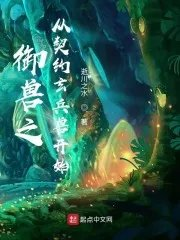 御兽之从契约玄兵兽开始逝川之水