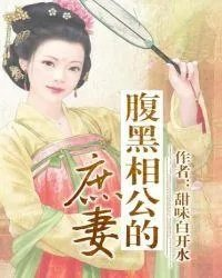 清穿之相公太腹黑