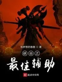 峡谷五辅助视频