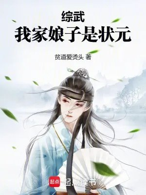 综武我家娘子是状元笔趣网
