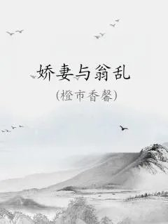 娇妻与翁乱
