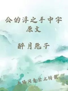 公的浮之手中字原文