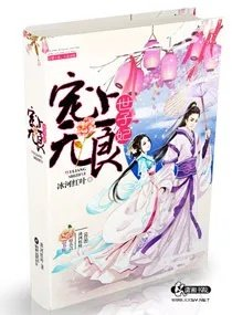 宠妃无度世子要入赘