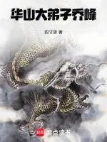乔峰华山论剑