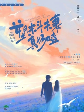 豪门塑料夫妻真好嗑时熙虞观岳