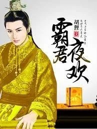 霸君夜奴