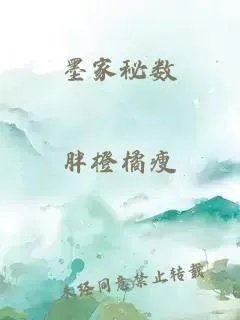墨家秘数