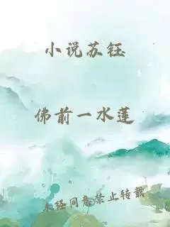 小说苏钰