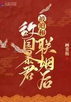 被迫和敌国太子联姻日子乔