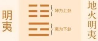 碰瓷剑尊后我成了修界第一