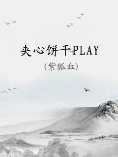 夹心饼干play