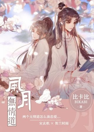风月无情道比卡比