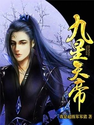 九星天帝决