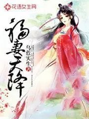 福妻天降捡个相公宠上天查理福晋