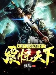 大唐开局挟持李二震惊天下