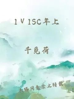 11sc年上