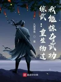 综武重生杨过我能掠夺武功杨过
