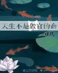 天生不是做官的命作者文理风