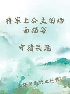 将军上公主的场面描写